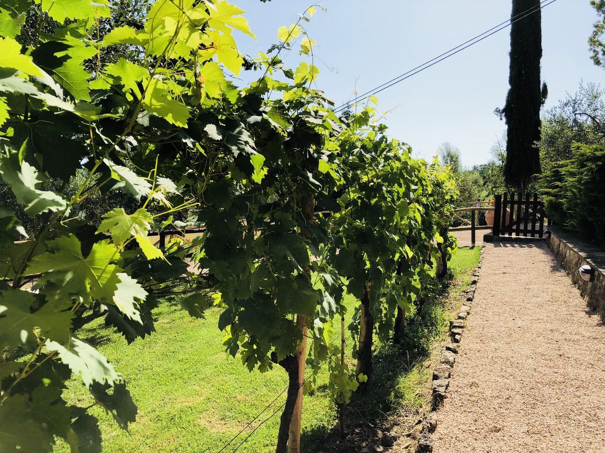 Agriturismo Borgo Il Bonagino Radda in Chianti Exterior foto